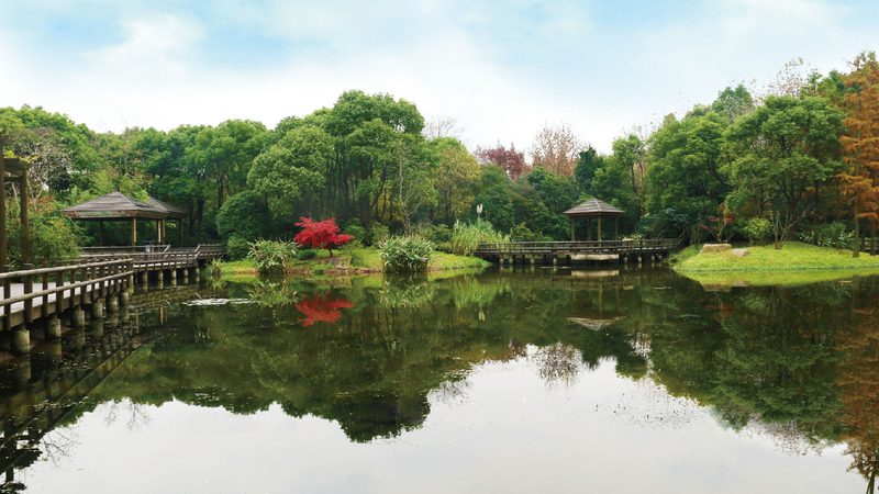 商场绿植租摆与写字楼租摆的差异化考量