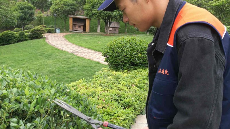 城市绿化资质的取得，需要满足以下条件：