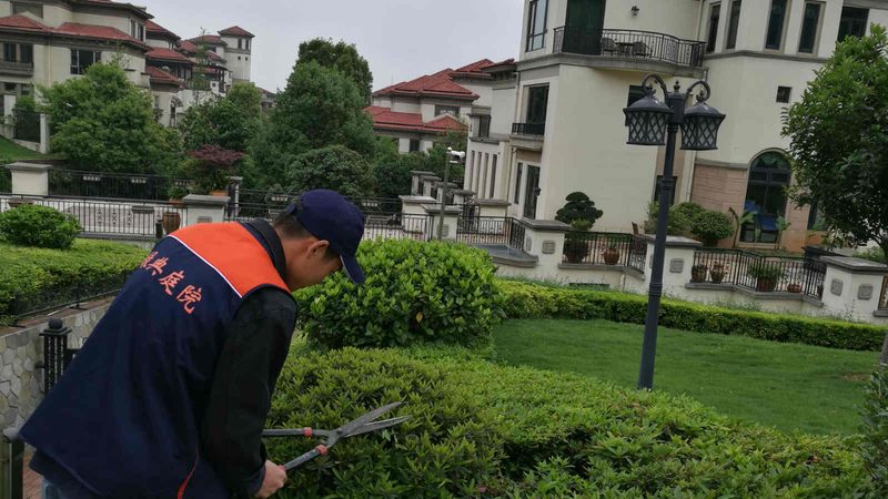 庭院草坪铺设步骤与注意事项