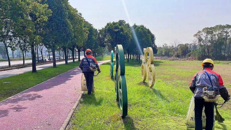 成都花卉租摆公司图片案例