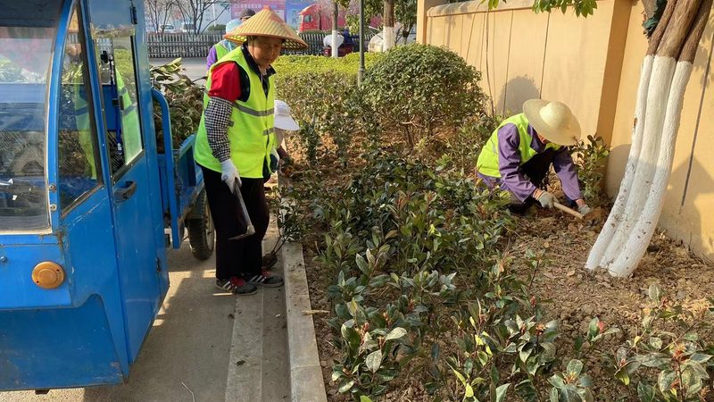 边坡绿化施工，价格如何？揭秘成本构成与影响因素**