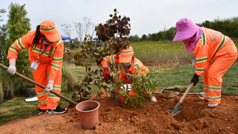 屋顶绿化设计施工公司排名：揭秘绿色建筑的秘密武器
