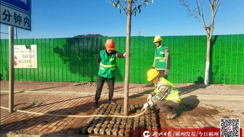假山喷泉鱼池防水，这5步不能少**