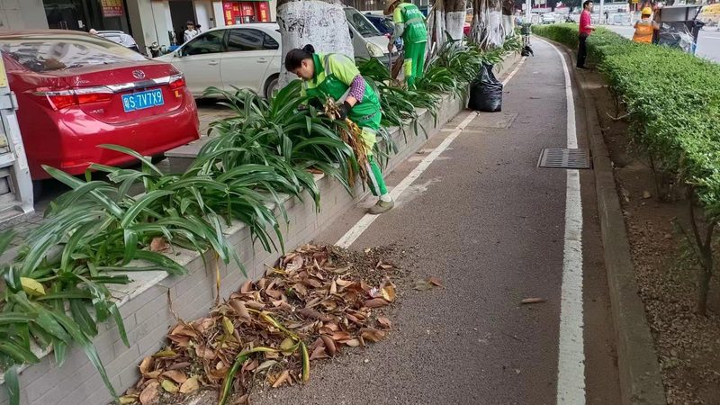 屋顶绿化加盟代理：前景分析与机遇挑战并存**