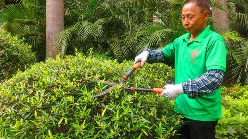绿化资质代办：揭秘价格背后的考量因素