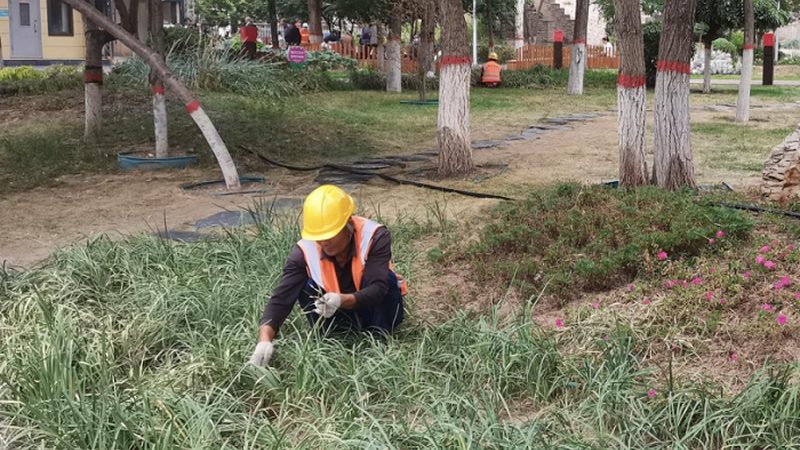 立体绿化墙的维护成本主要包括以下几个方面：