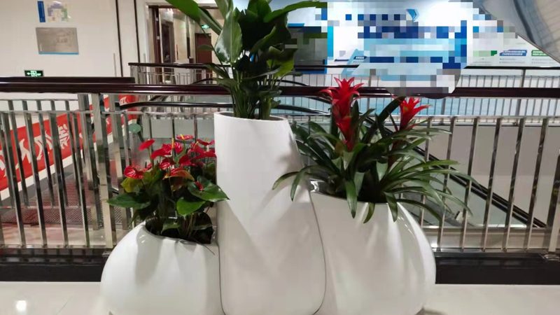 苗木种植报价，如何规避陷阱，确保质量？**