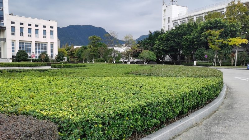 零下30度耐寒苗木，如何挑选优质之选？**