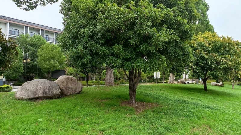 边坡喷播植草材料：揭秘其批发价格背后的奥秘