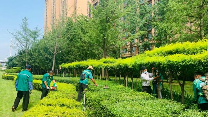 绿化资质申请材料清单：必备要素及注意事项