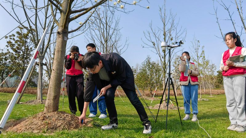 市政绿化与园林绿化：植物选择差异解析